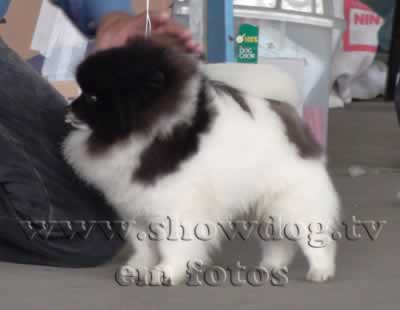 Clique sobre a foto para fechar